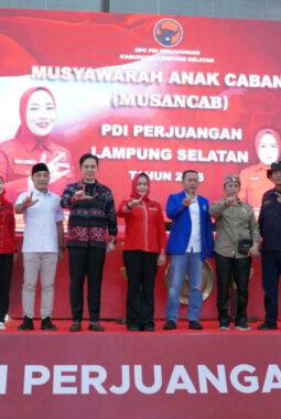 Musancab PDI Perjuangan jadi Simbol Ekspansi Dinasti Mukhlis Basri